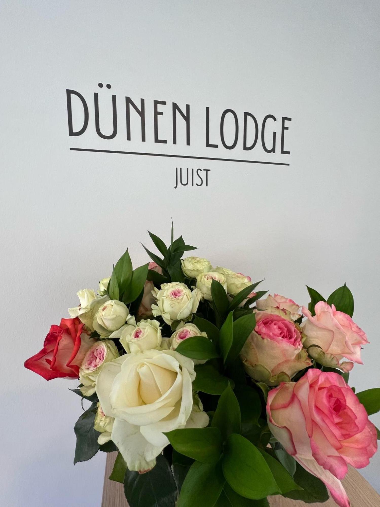 Apartment Duenen 3 *